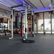 Gym fitness equipment inside a modern exercise room with large windows and natural lighting.