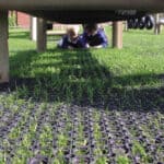 Paving grass growing through ground grid underneath outdoor play area with children.
