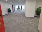 Modern office corridor with stylish carpet flooring and potted plants for interior decor.