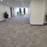 Math Tones Muslin Laid In Office 1
